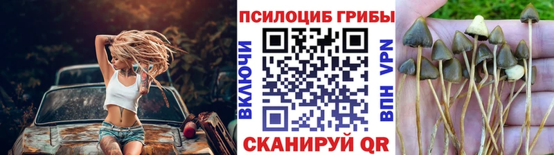 Псилоцибиновые грибы GOLDEN TEACHER  Духовщина 